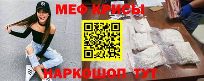 индика Камышлов