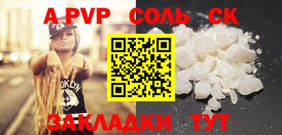 индика Камышлов