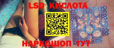 индика Камышлов
