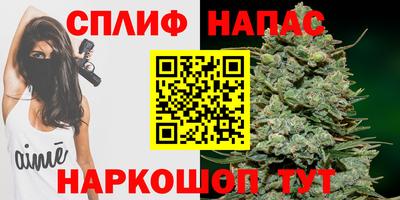 индика Камышлов