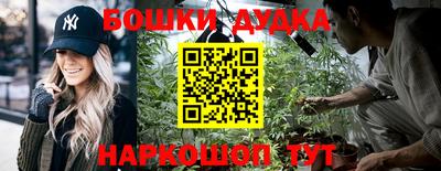 индика Камышлов