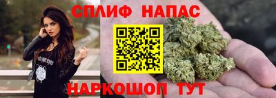 индика Камышлов