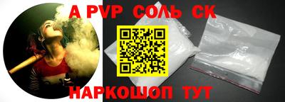 индика Камышлов