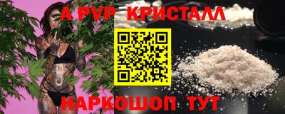apvp Кингисепп