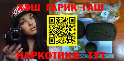 индика Камышлов
