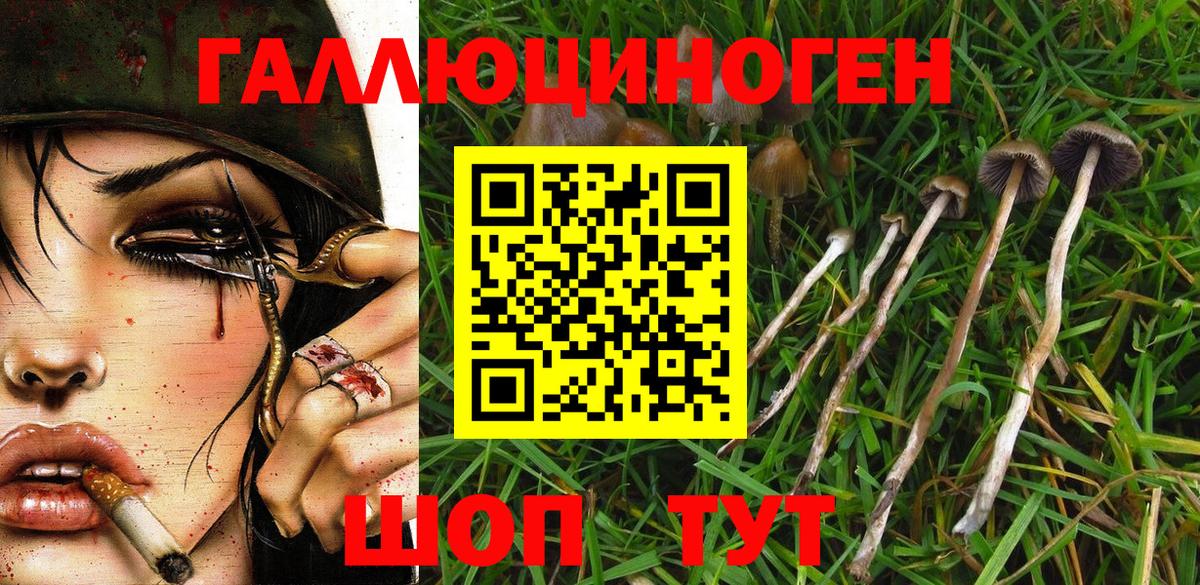 Псилоцибиновые грибы Psilocybine cubensis  Галлюциногенные грибы Cubensis  Красноярск  Вход с VPN 