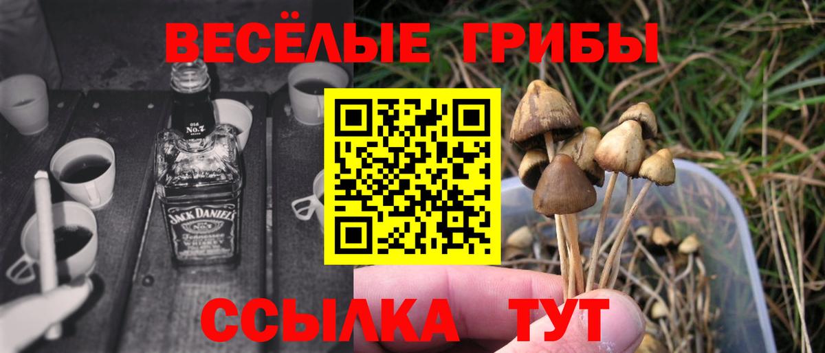 Галлюциногенные грибы мицелий Красноярск